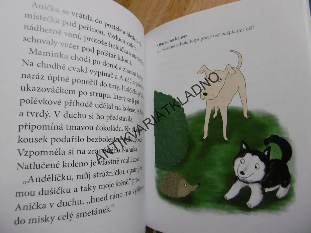NANUKOVA DOBRODRUŽSTVÍ, ALŽBĚTA DVOŘÁKOVÁ, BERGMANNOVÁ
