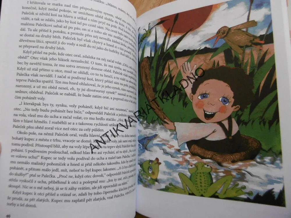 NEJKRÁSNĚJŠÍ POHÁDKY A BAJKY, MALČÍK, **an