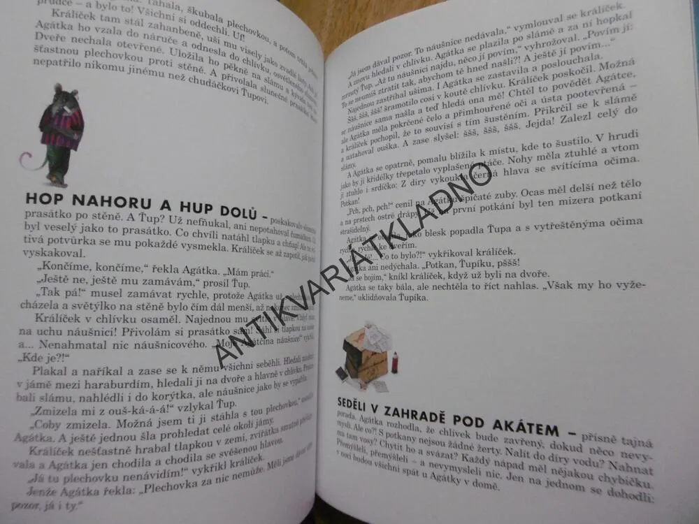 OSLÍČEK BÍLÉ OUŠKO, IRENA GÁLOVÁ, **an