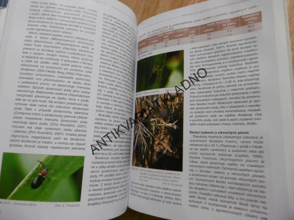 MINIMALIZACE ZPRACOVÁNÍ PŮDY, JOSEF HŮLA, PROCHÁZKOVÁ