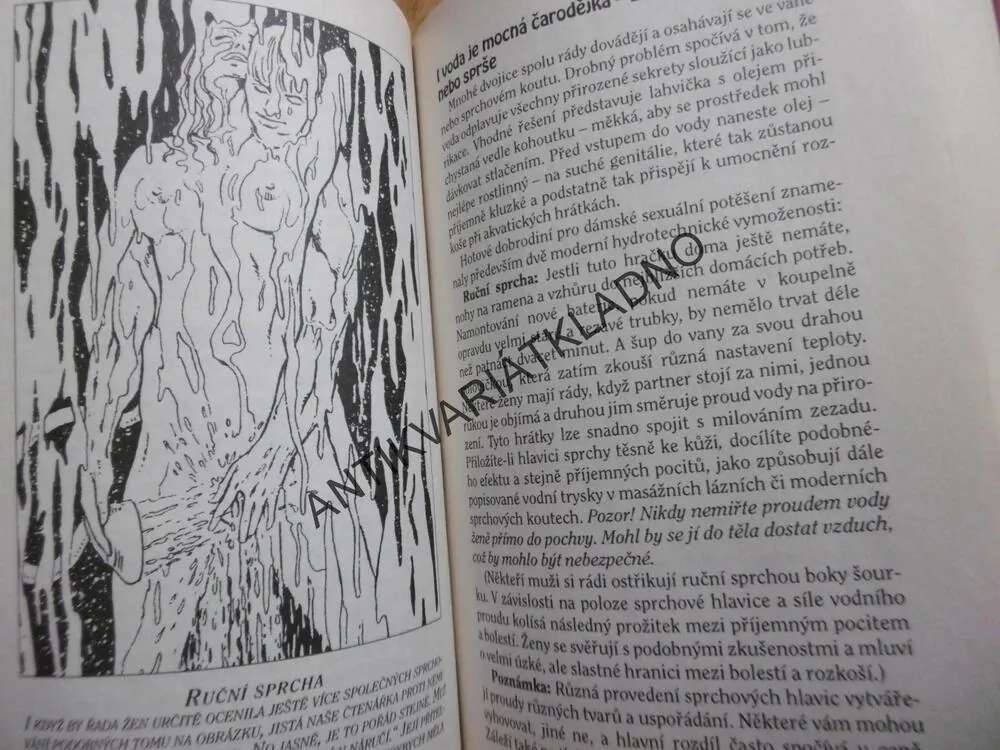 SEX JE UMĚT, CHTÍT A VĚDĚT, PAUL JOANNIDES, **an
