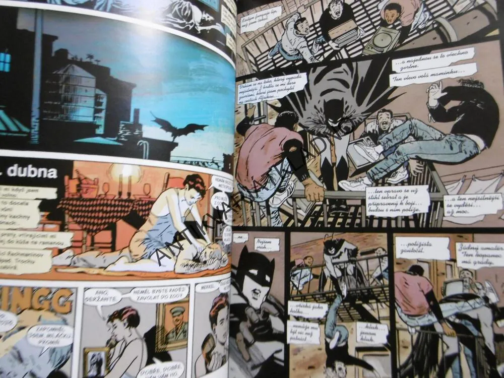 BATMAN, ROK JEDNA, MILLER, LEWISOVÁ, **an