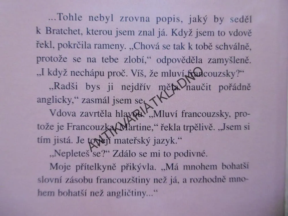 POBŘEŽÍ TEMNOTY, DIANA NORMANOVÁ, **an