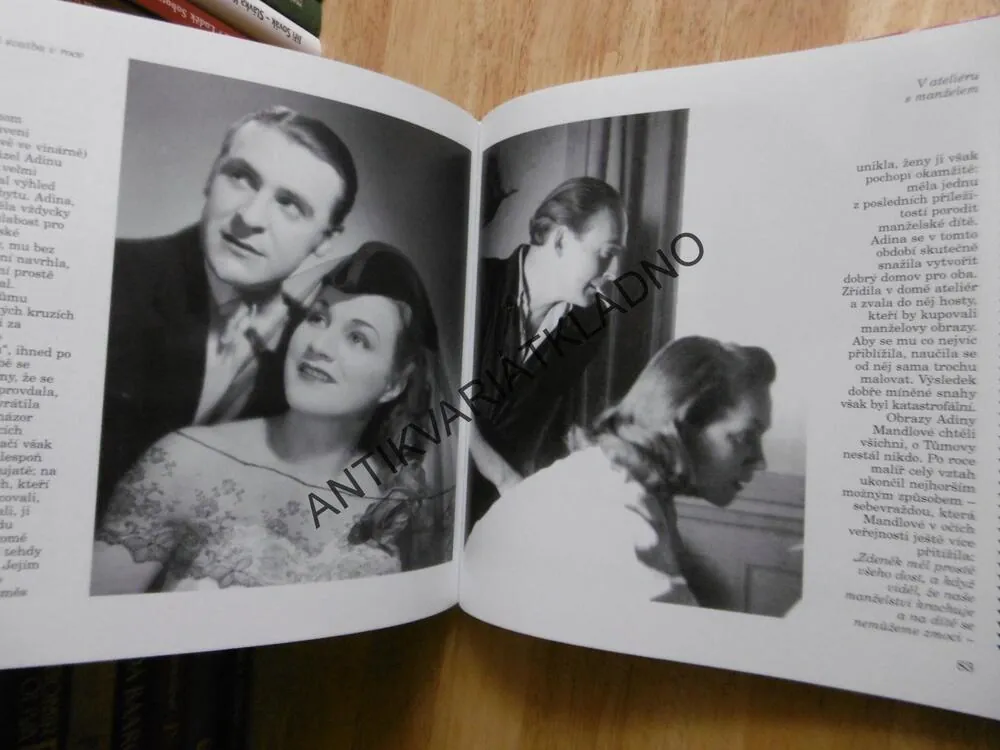 ADINA MANDLOVÁ, OBRAZOVÝ ŽIVOTOPIS, JOSEF FRAIS, JIRAS