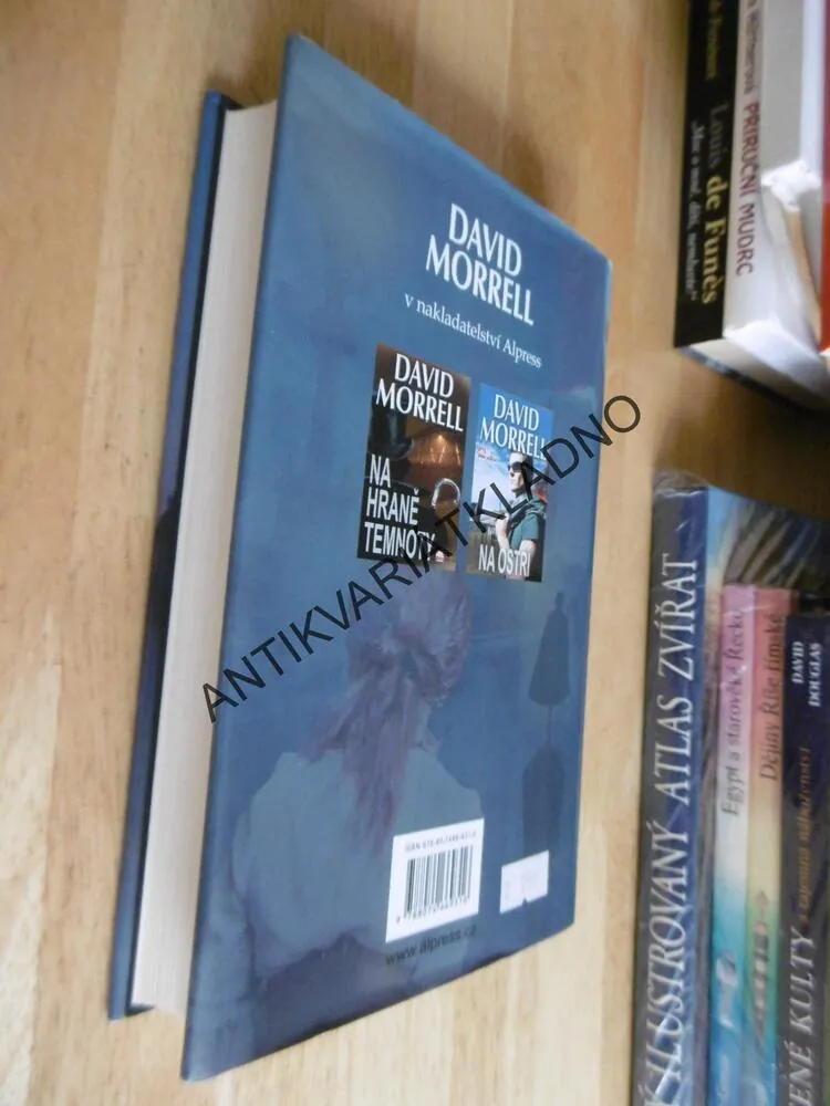STOPY MIZÍ V MLZE, DAVID MORRELL, **an