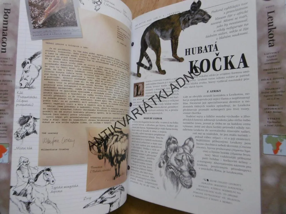 BÁJNÉ BYTOSTI A DALŠÍ TVOROVÉ ZE SVĚTA FANTAZIE, KRYPTOZOOLOGIE