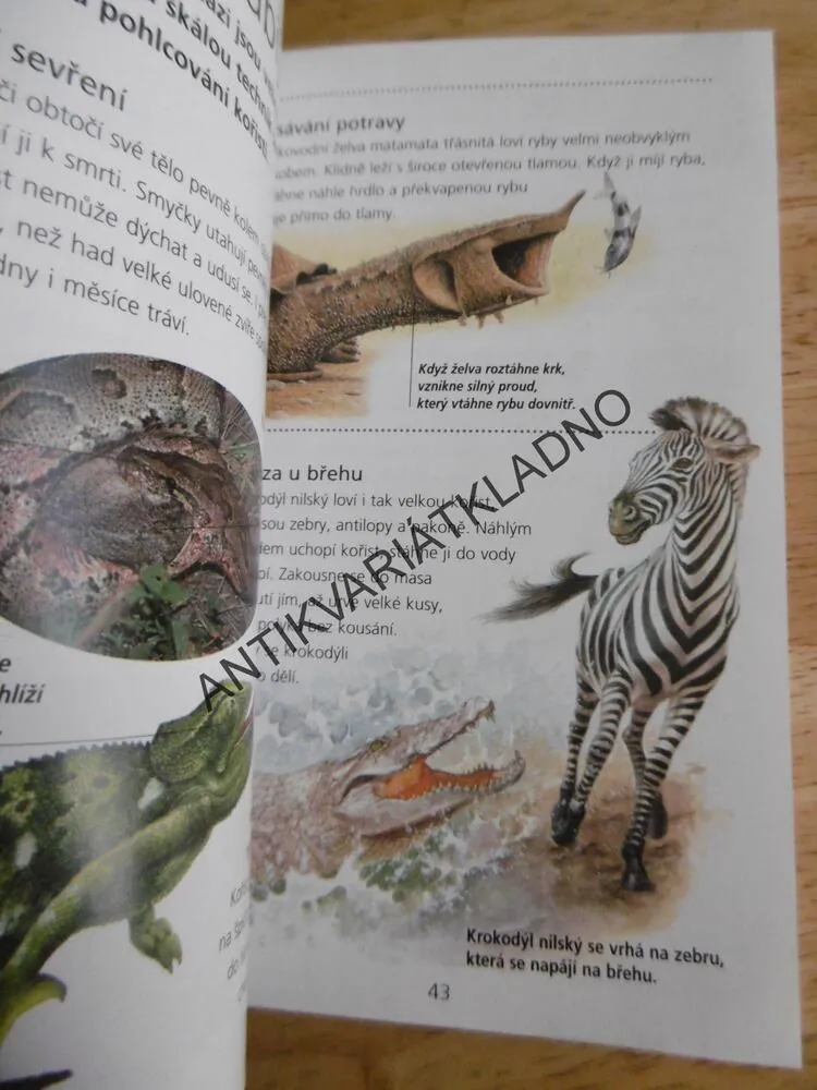 MINIKNÍŽKA HADI A OSTATNÍ PLAZI
