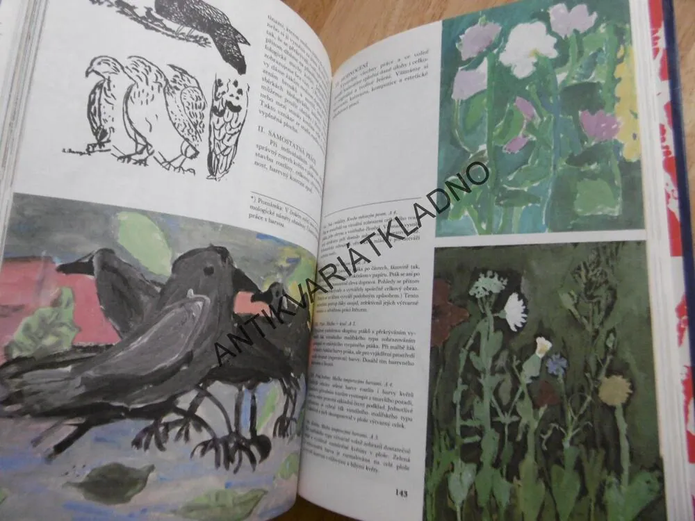 VÝTVARNÁ VÝCHOVA, 3.A 4. ROČNÍK ZŠ, METODICKÁ PŘÍRUČKA, MACKO, NEVŘELOVÁ