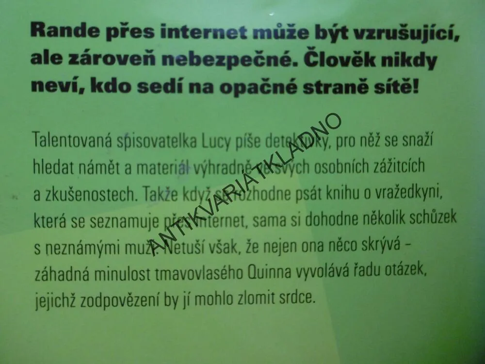 SEX, LŽI A RANDE PŘES INTERNET, RACHEL GIBSON,