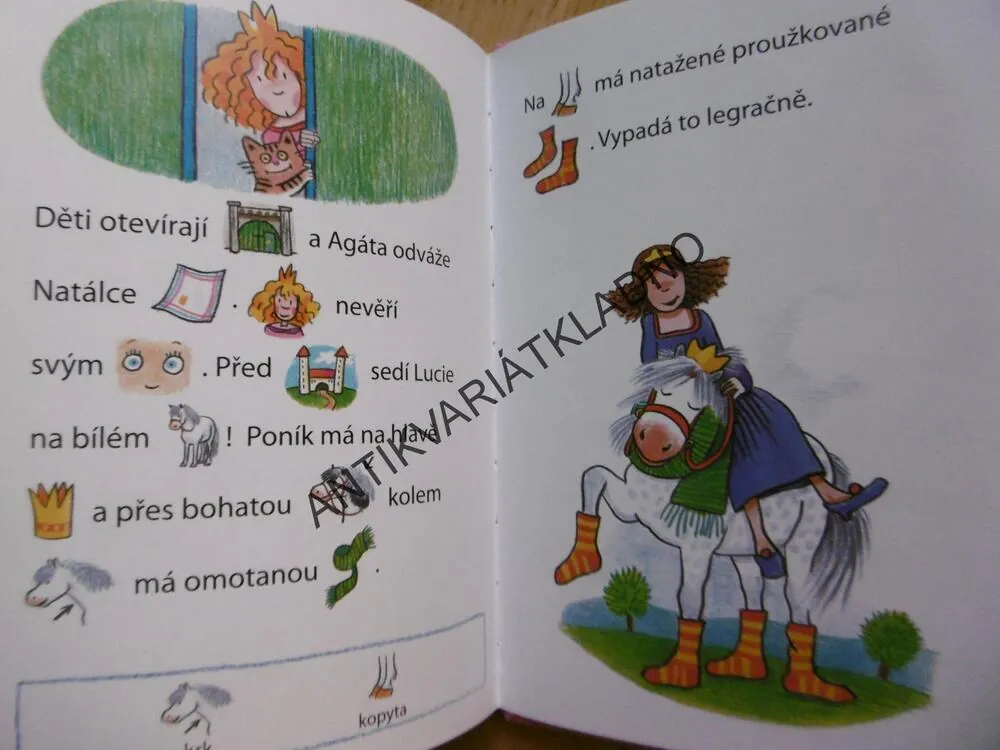 O MALÉ PRINCEZNĚ