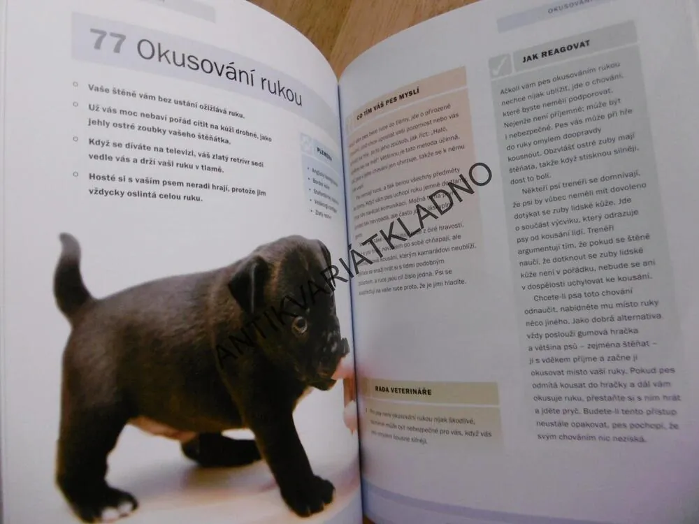 JAK TO TEN PES MYSLÍ? VIZUÁLNÍ PRŮVODCE PSÍ ŘEČÍ, ARDEN MOOREOVÁ