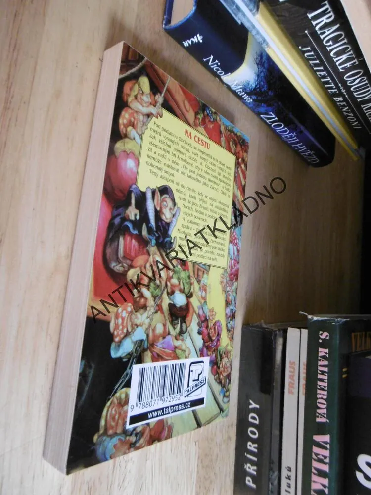 NA CESTU, ÚŽASNÁ ZEMĚPLOCHA, TERRY PRATCHETT