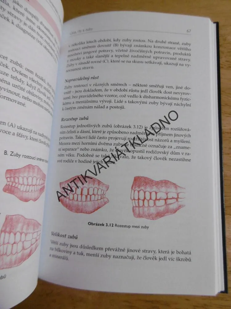 UMĚNÍ ORIENTÁLNÍ DIAGNOSTIKY, MICHIO KUSH,