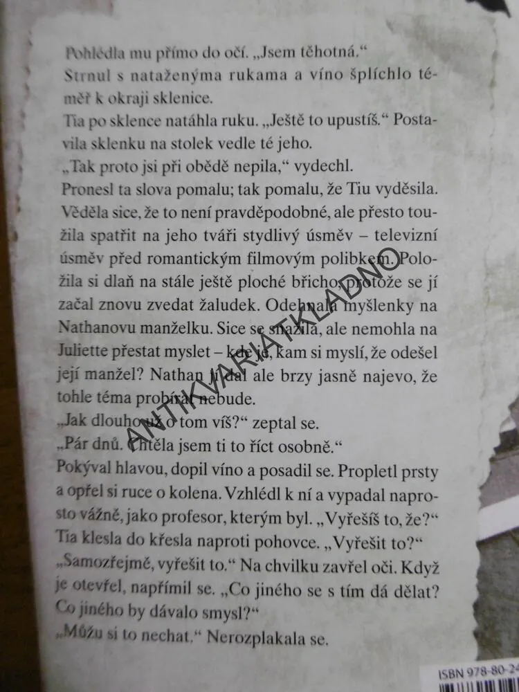 POHODLNÉ LŽI, RANDY SUSAN MEYERSOVÁ, **an