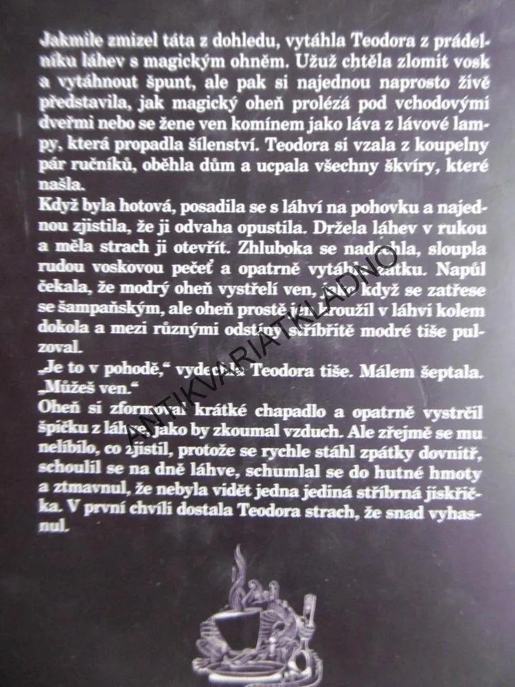 DRAK Z NIKDYBYLU, ANN DOWNEOVÁ