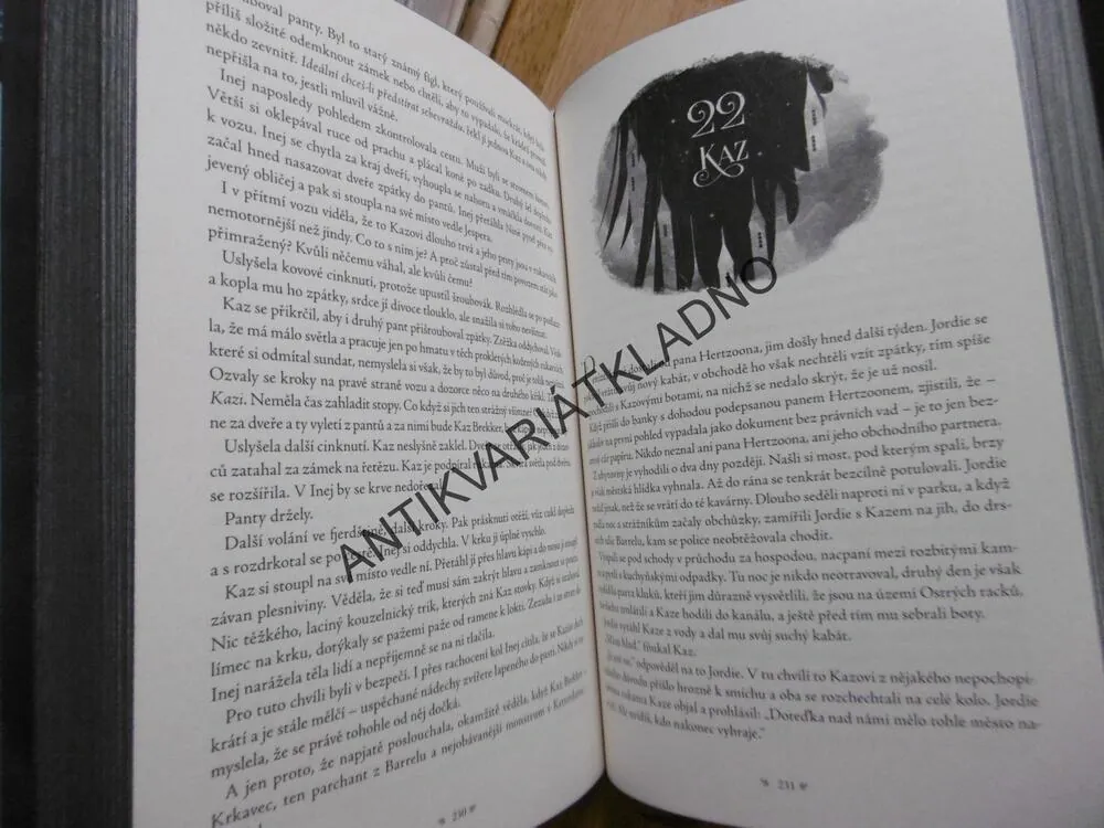 ŠEST VRAN, LEIGH BARDUGO, (AUTOR GRIŠA)