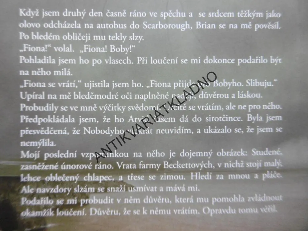 ZAPOMENUTÉ DÍTĚ, CHARLOTTE LINKOVÁ
