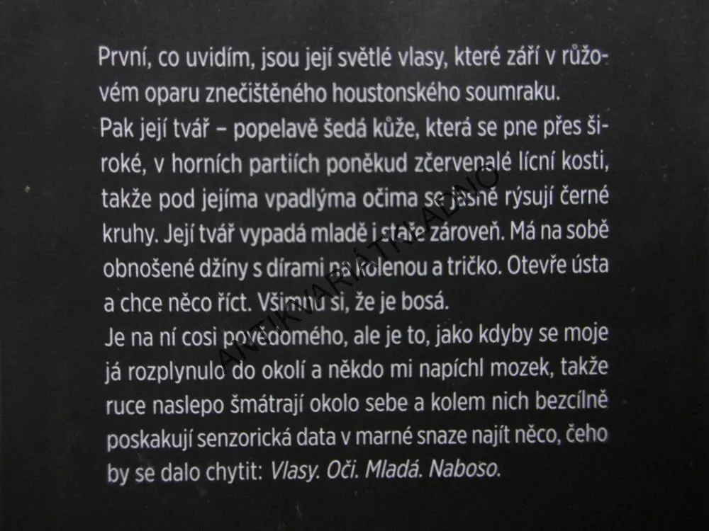 DCERA NĚKOHO JINÉHO, AMY GENTRYOVÁ,