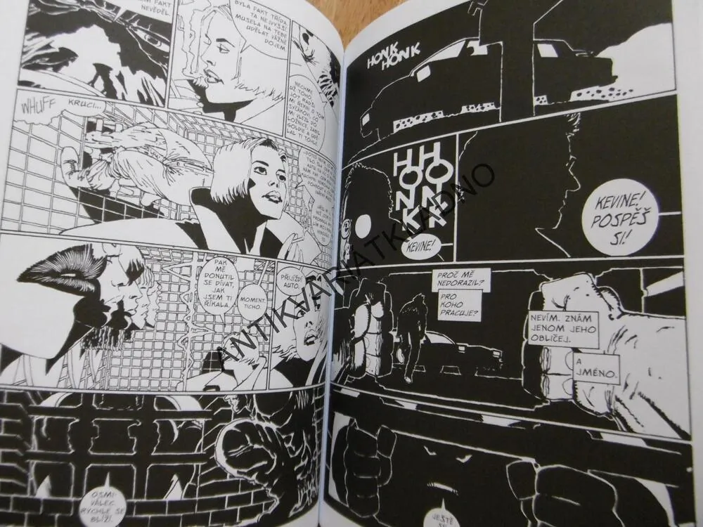 DRSNÝ SBOHEM SIN CITY, MĚSTO HŘÍCHU 1., FRANK MILLER, **an