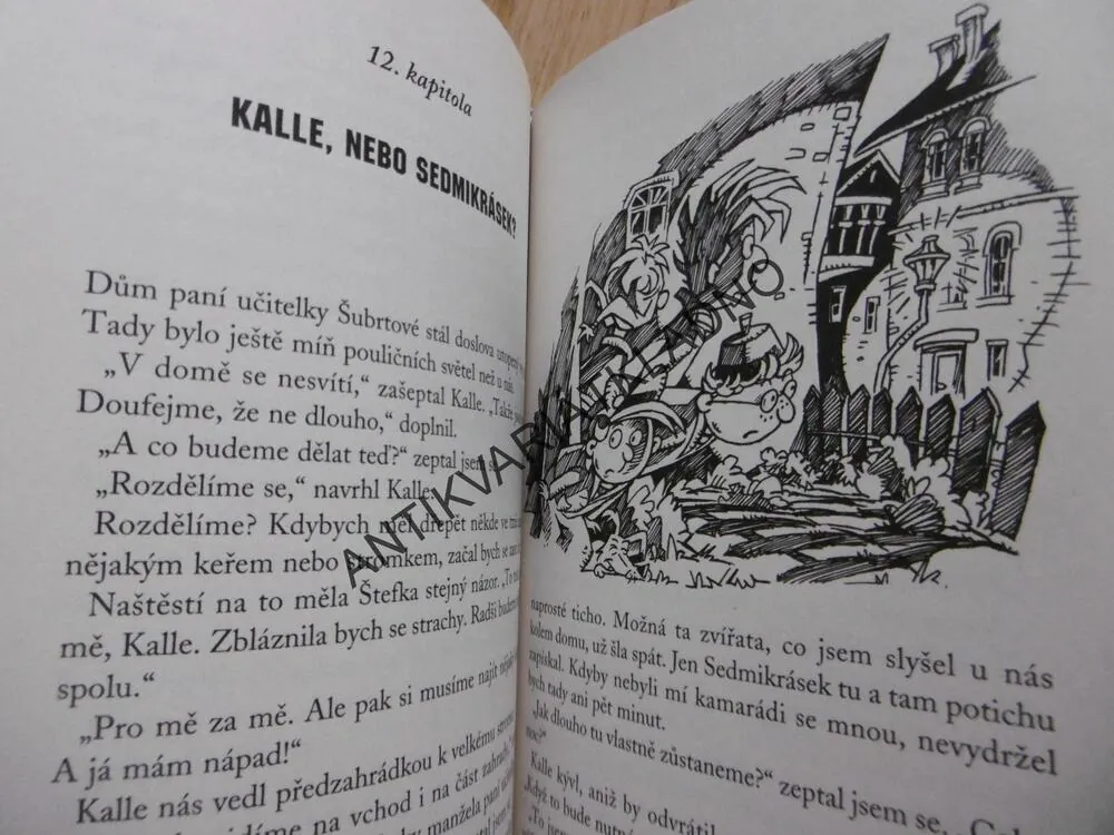 ČTYŘI A PŮL KAMARÁDA A PODIVNÁ LOUPEŽ, JOACHIM FRIEDRICH, PÁV, **an