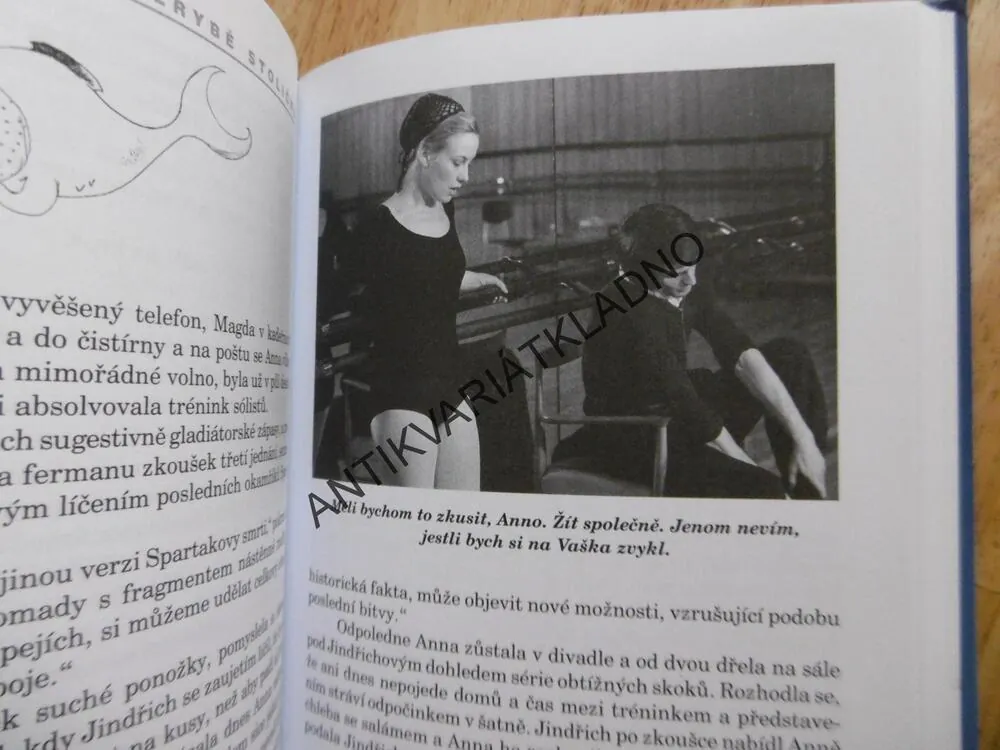 JAK VYTRHNOUT VELRYBĚ STOLIČKU, MARIE POLEDŇÁKOVÁ, **an