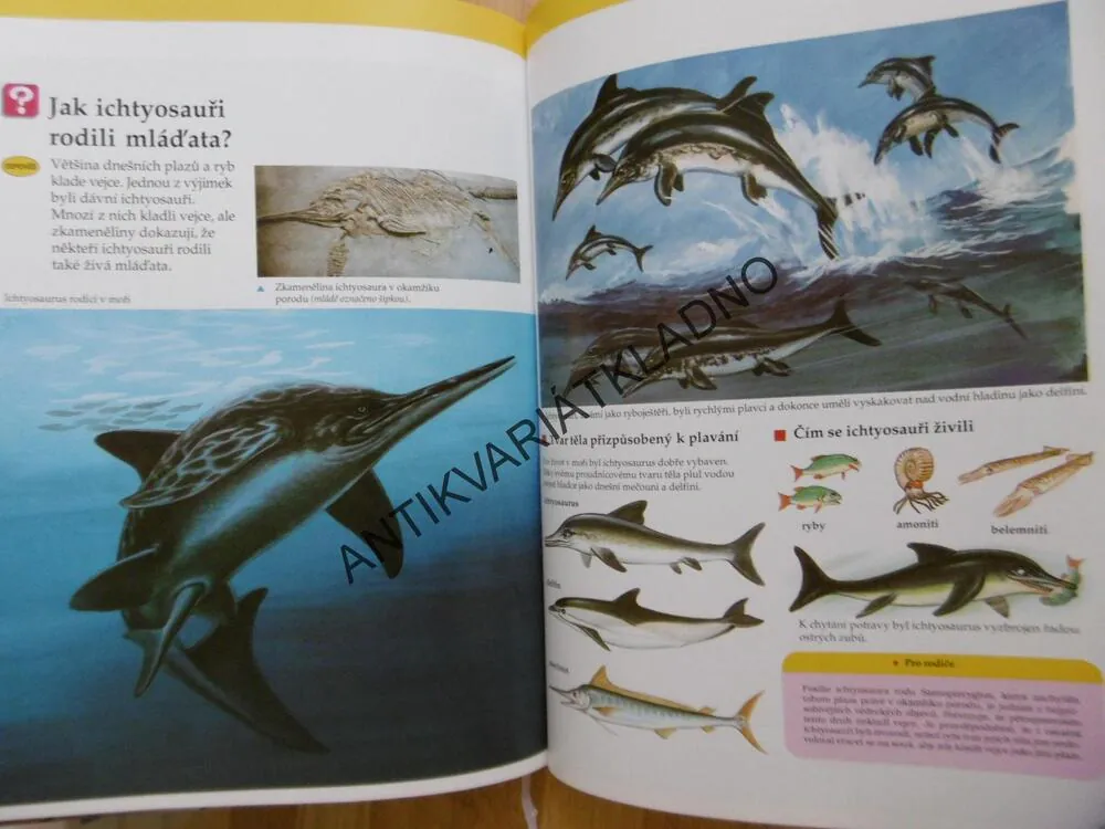 DINOSAUŘI, PRVNÍ DĚTSKÁ KNIHOVNA, 