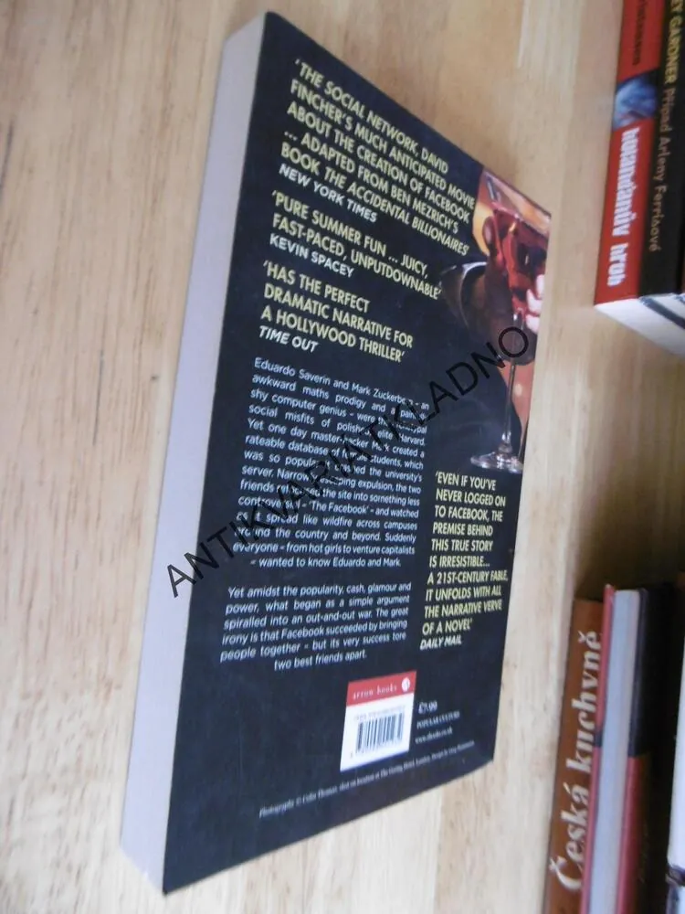 THE ACCIDENTAL BILLIONAIRES, BEN MEZRICH, ANGLICKY, **an