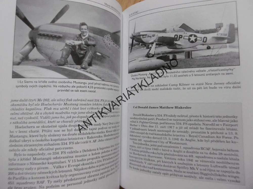 S ORLEM VE ZNAKU, HISTORIE STÍHACÍ SQUADRONY OD BITVY O ANGLII PO VÁLKU V KOREJI, MAREK BRZKOVSKÝ