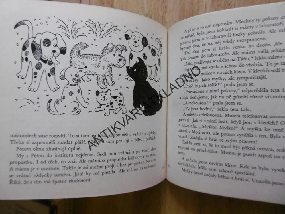 MŮJ PES A JÁ, ZOJA ŽURAVLJOVOVÁ, ALENA LADOVÁ, 1974, **an