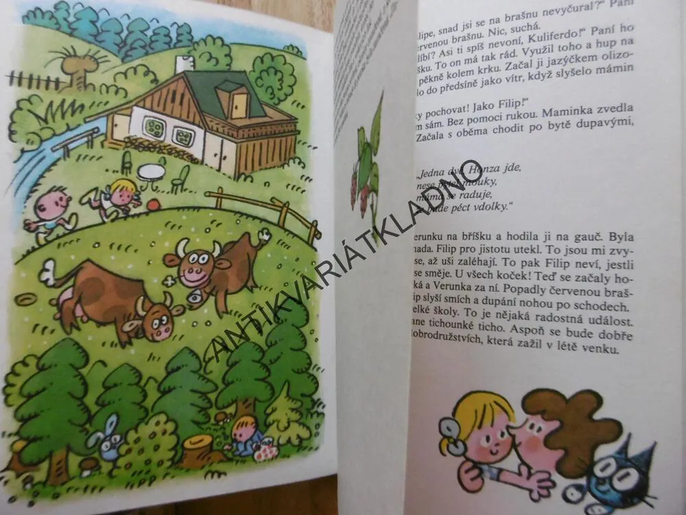 DĚVČÁTKO S KOŤATY, MAUEROVÁ, NESVADBA, 1979, **an