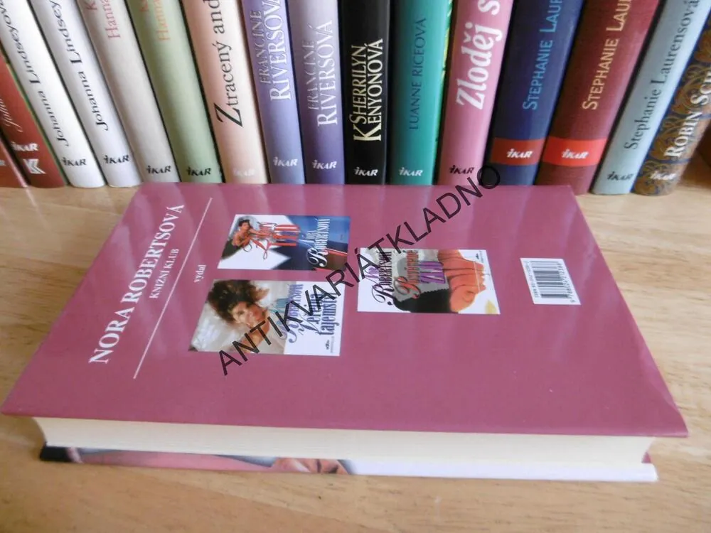 SRDCOVÁ DÁMA, NORA ROBERTSOVÁ, **an