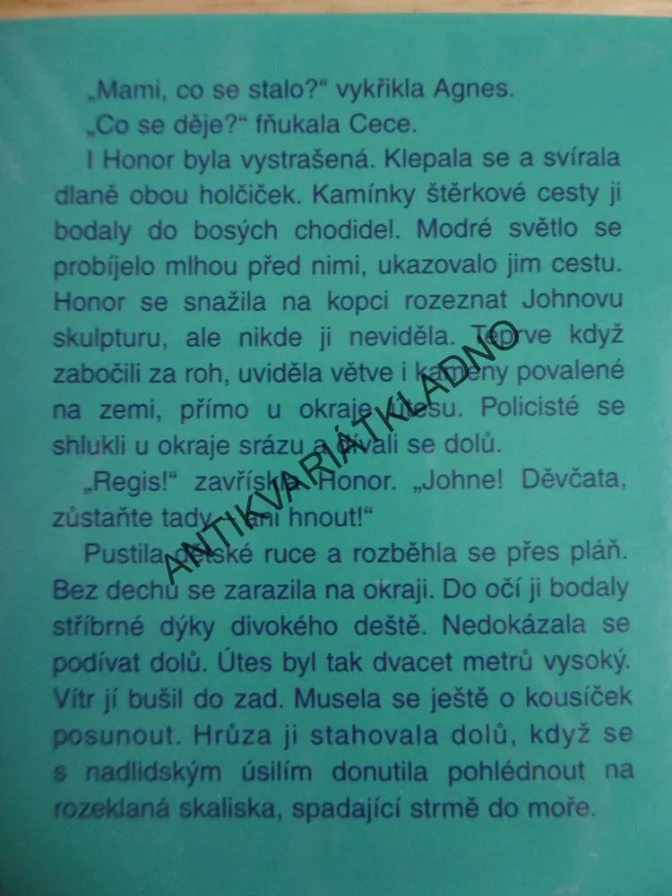 MOŘSKÁ HVĚZDA, LUANNE RICEOVÁ, **an
