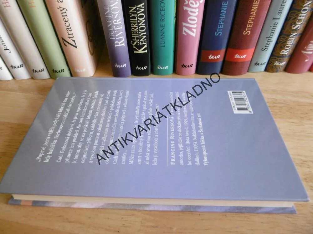 POLYKAČ HŘÍCHŮ, FRANCINE RIVERSOVÁ, **an