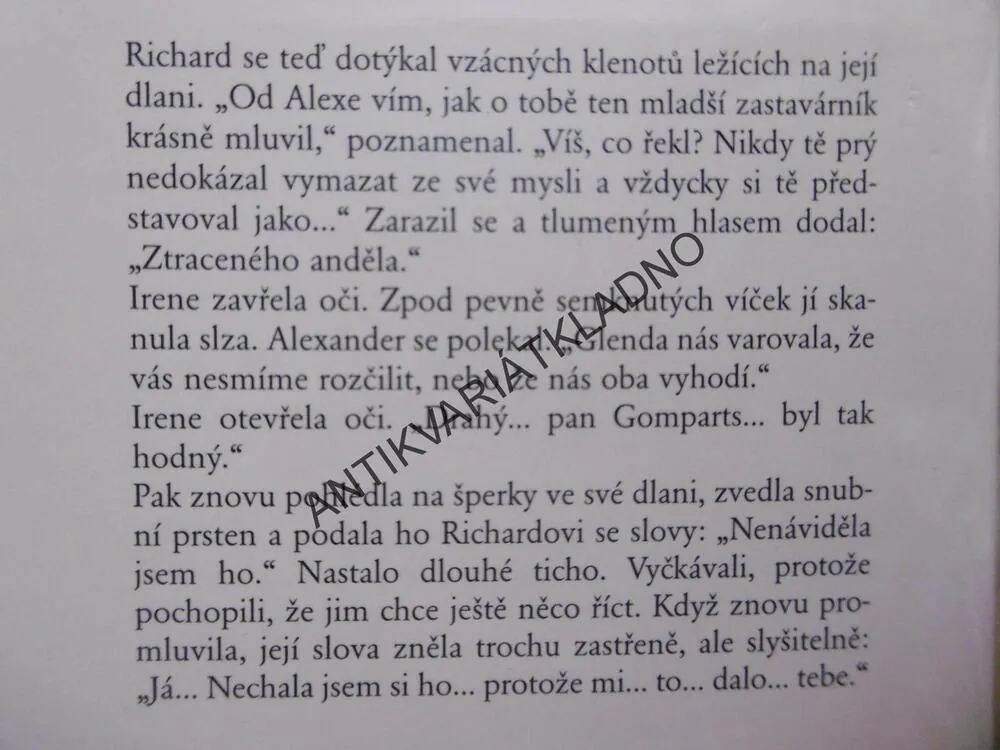 ZTRACENÝ ANDĚL, CATHERINE COOKSONOVÁ, **an