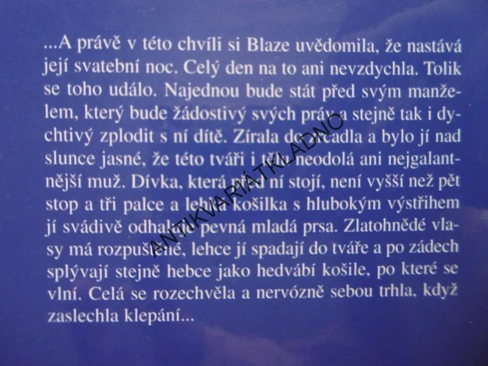 NEBEZPEČNÁ SVŮDNICE, BERTRICE SMALL, 