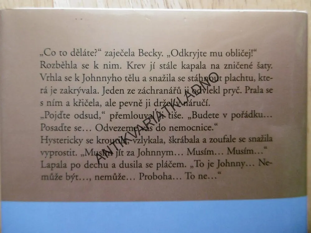 STRÁŽNÝ ANDĚL, DANIELLE STEEL, **an