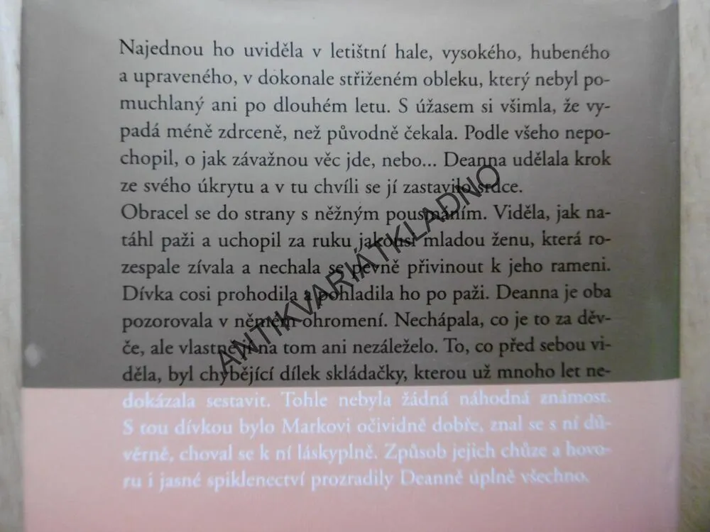 KONEC LÉTA, DANIELLE STEEL, **an