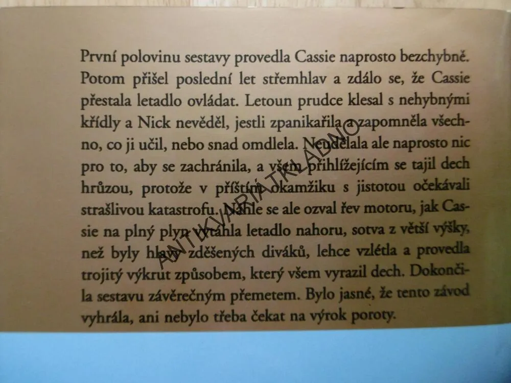 KŘÍDLA, DANIELLE STEEL