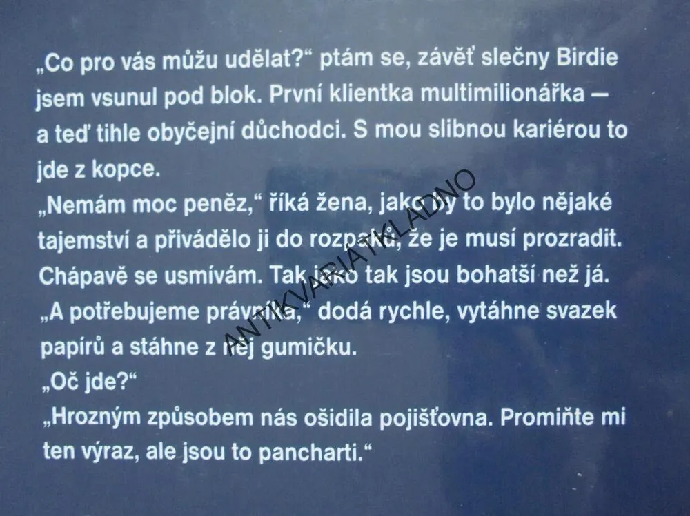 VYVOLÁVAČ DEŠTĚ, JOHN GRISHAM, **an