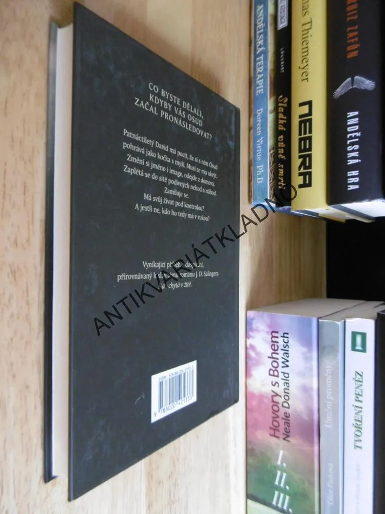 S OSUDEM V ZÁDECH, MEG ROSOFFOVÁ, **an
