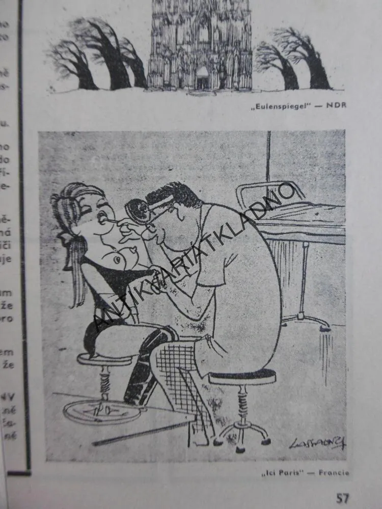 MAGAZÍN DIKOBRAZU