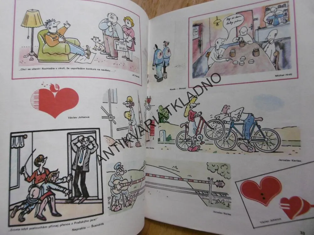 MAGAZÍN DIKOBRAZU 1/89
