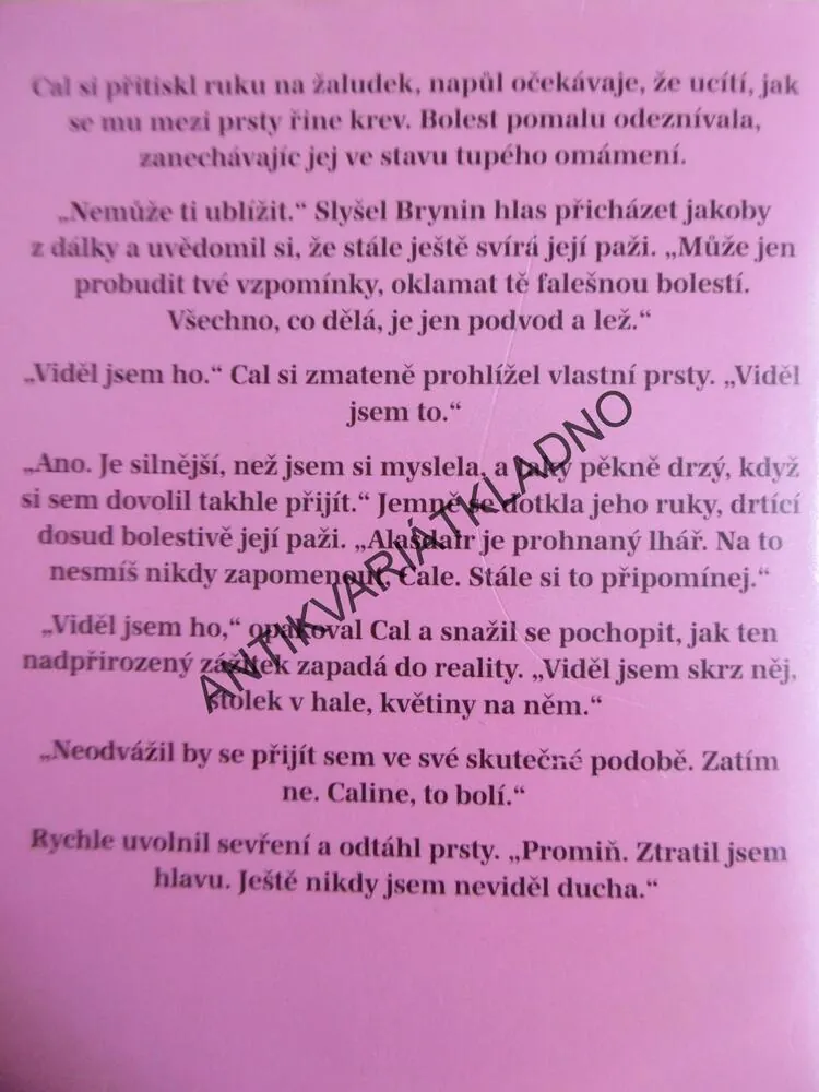 BYL JEDNOU JEDEN HRAD, NORA ROBERTSOVÁ, JILL GREGORYOVÁ, **an