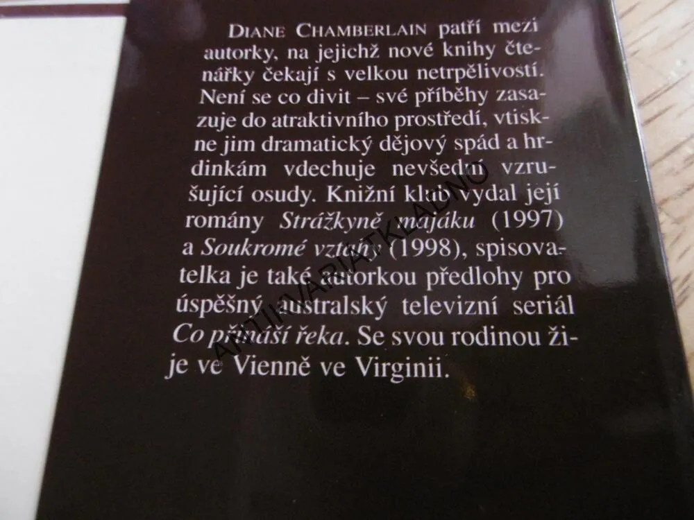 MILENCI A CIZINCI, DIANE CHAMBERLAINOVÁ