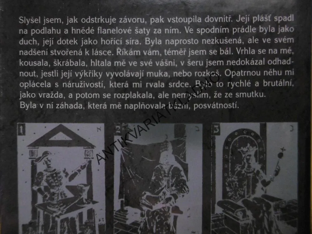SPI, BLEDÁ SESTŘIČKO, JOANNE HARRISOVÁ, **an