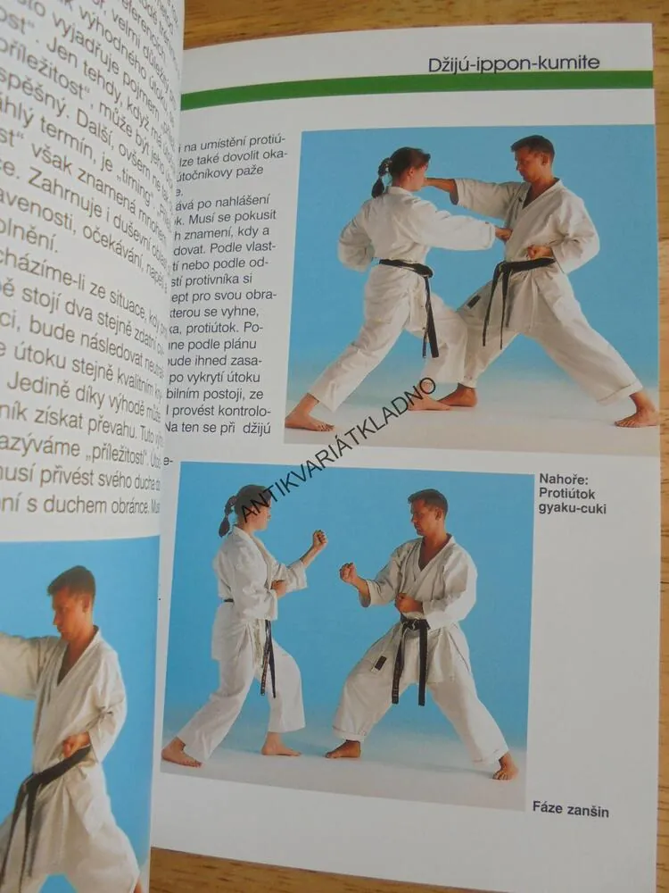 KARATE, SPORT, PRŮVODCE SPORTEM, WICHMANN