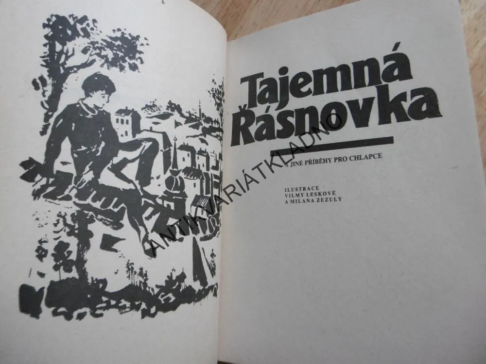 TAJEMNÁ ŘÁSNOVKA A JINÉ PŘÍBĚHY, JAROSLAV FOGLAR, **an