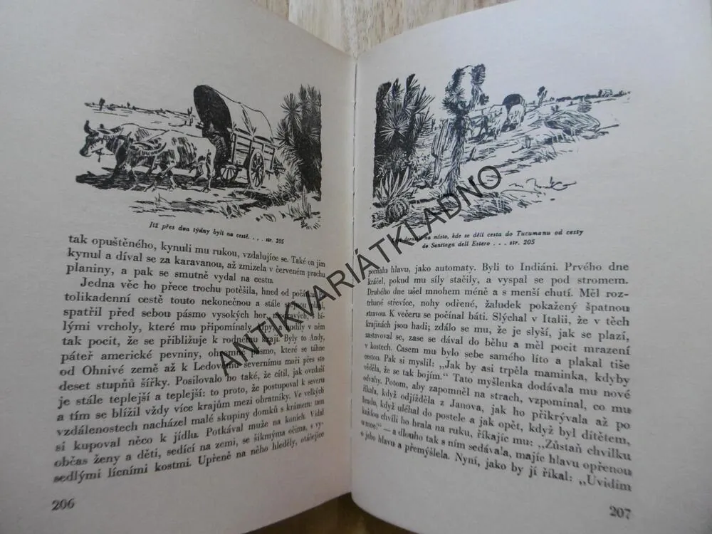 SRDCE, EDMONDO DE AMICIS, M.NOVÁK, **an