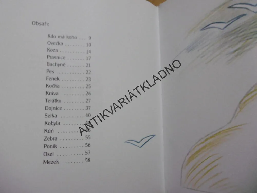 KDO MÁ KOHO, NINA ČAMPULKA - AUTOGRAM