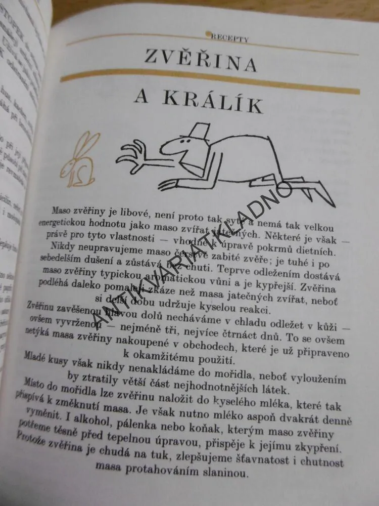 MUŽ V ZÁSTĚŘE, 600 RECEPTŮ, ACHILLE GREGOR, ADOLF BORN, **an